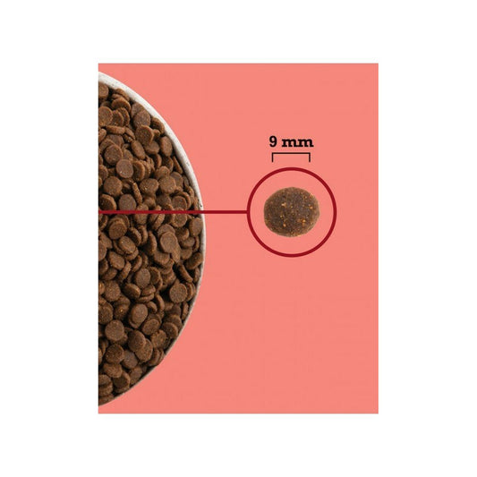 V2H2B507C0F81F12B5C0A61FD3FF9783163R5851858P2