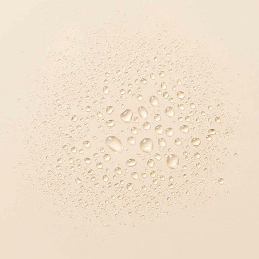 V2HF7D3158BE9B0E1A0D979753F9AA9E6ECR5625681P2