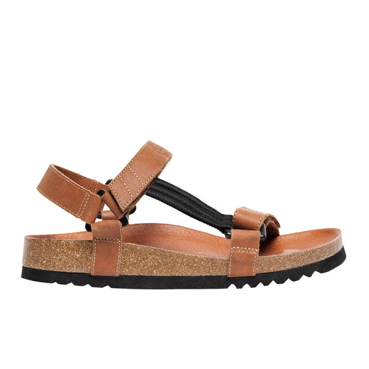 V2H88FB6EC1A695EDCF6C61A0EFF2924976R5842389P2