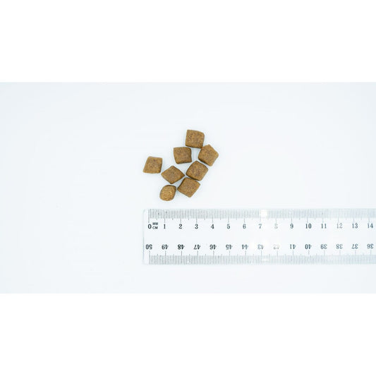 V2H42006398980A09FF6AF9E8B28270CCB2R5624560P2