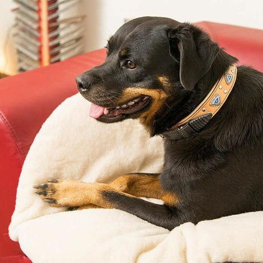 V2H5404709EFE88F44CA44BE4BCD6E8AE9FR5780203P2