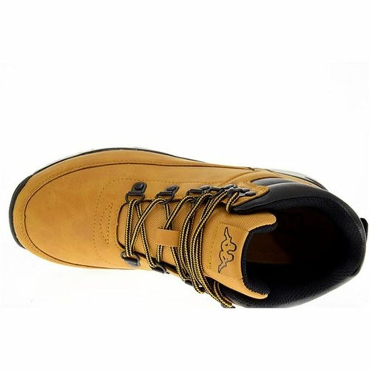 V2H5546937F1A58F553940A514BAF008827R5559441P3