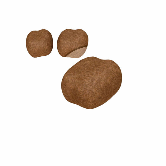 V6HFCB30A5B5EF7C9AC83EAC2A37021EFE8R3587246P2