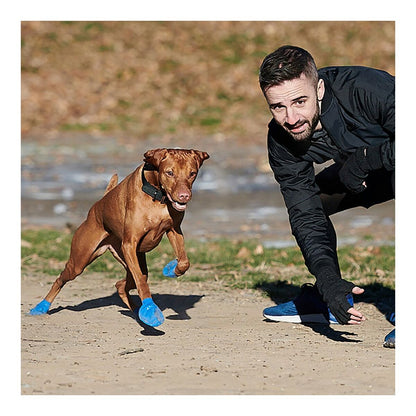 V8H61DC336054FE3BD50CA536464716A26BR4986965P4