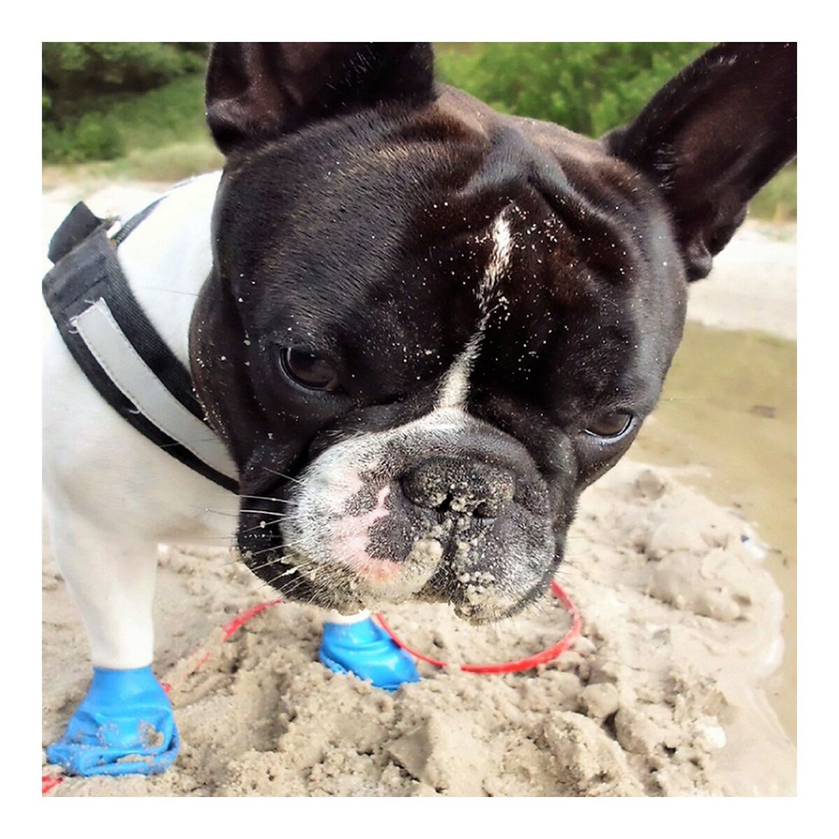 V8H8DE6263F1FC72947C165A653D2F20957R4986966P5