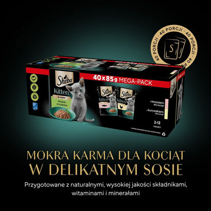 V3HDEE8C1D5173E18A885A9702E0F639B68R4903958P10