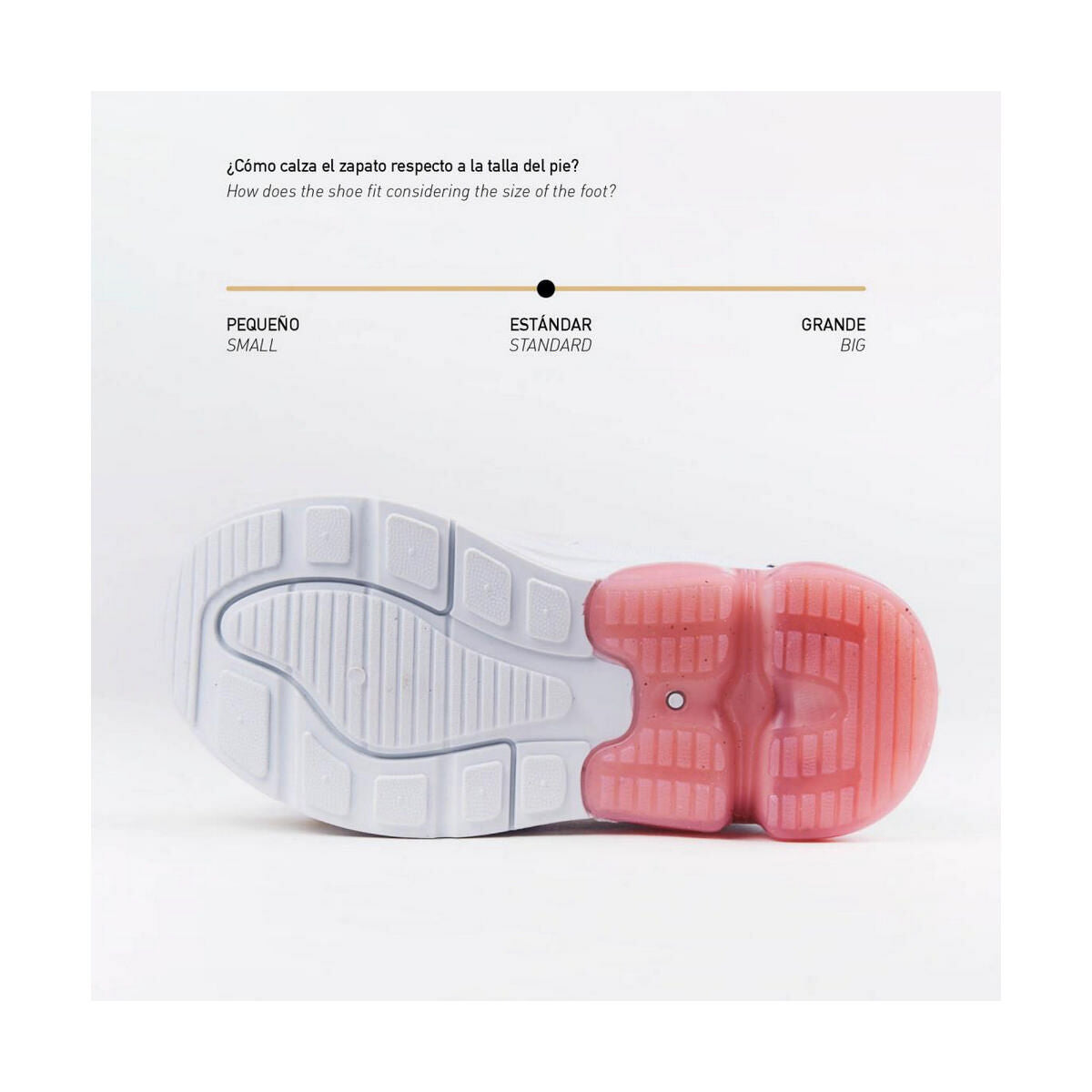 V8HDE2C3EC62E6186D4D42D2B6724502AE4R4089964P6